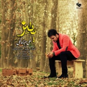 دانلود آهنگ جدید علی عبدالمالکی به نام پاییز