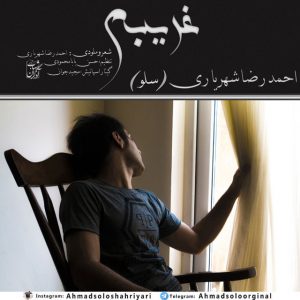 دانلود آهنگ جدید احمد سلو به نام غریبم