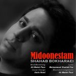 دانلود آهنگ جدید شهاب بخارایی به نام میدونستم