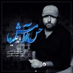 محمد علیزاده – حس آرامش