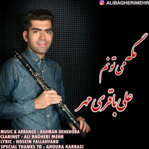دانلود آهنگ جدید علی باقری مهر به نام مگه می تونم