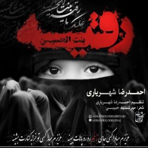 دانلود آهنگ جدید احمد سلو به نام رقیه