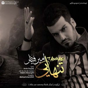 دانلود آهنگ جدید امین فیاض به نام تنهایی