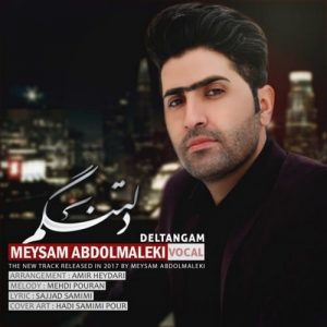 دانلود آهنگ جدید میثم عبدالمالکی به نام دلتنگم