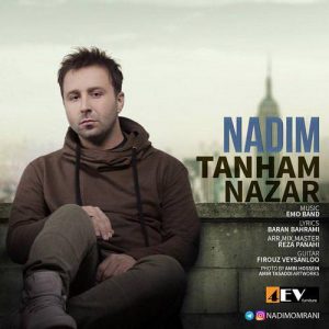 دانلود آهنگ جدید ندیم به نام تنهام نزار