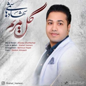 دانلود آهنگ جدید شهاد هاشمی به نام گل مریم
