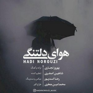 دانلود آهنگ جدید هادی نوروزی به نام هوای دلتنگی