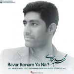 دانلود آهنگ جدید محمد موسوی به نام باور کنم یا نه