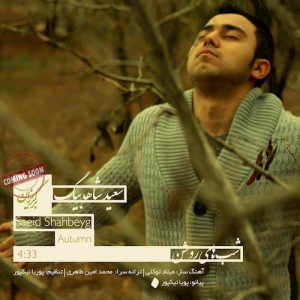 دانلود آهنگ جدید سعید شاه بیگ به نام شب های روشن