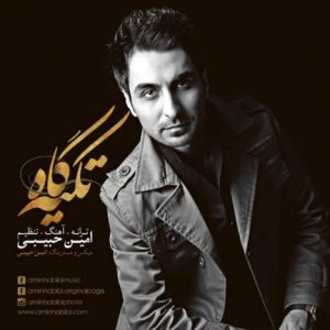 دانلود آهنگ جدید امین حبیبی به نام تکیه گاه