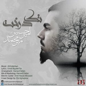 دانلود آهنگ جدید امیرحسین میرمحمد به نام تک درخت