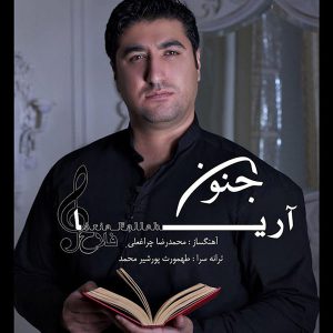 دانلود آهنگ جدید آریا به نام جنون