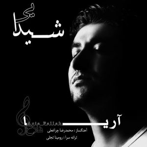 دانلود آهنگ جدید آریا به نام شیدایی