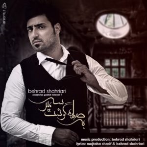 دانلود آهنگ جدید بهراد شهریاری به نام صدام به گوشت میرسه