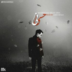 دانلود آهنگ جدید محمود ام کی و آریا به نام حسی نیست