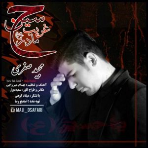 دانلود آهنگ جدید مجید صفدری به نام  غریب مادر حسین