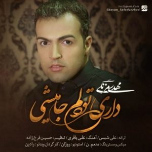 دانلود آهنگ جدید مهدی مزنگی به نام داری تو دلم جا میشی