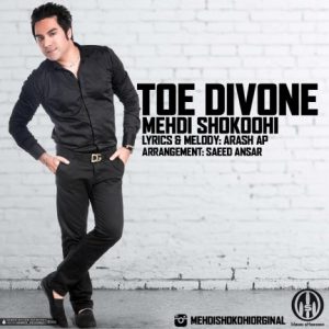 دانلود آهنگ جدید مهدی شکوهی به نام توئه دیوونه