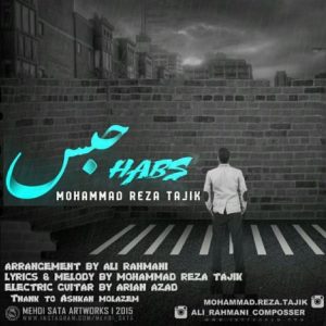 دانلود آهنگ جدید محمدرضا تاجیک به نام حبس