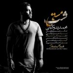 دانلود آهنگ جدید محمد زندوکیلی به نام شب مستی