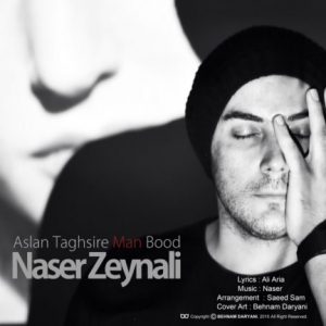 دانلود آهنگ جدید ناصر زینعلی به نام اصلا تقصیر من بود