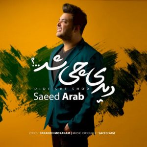 دانلود آهنگ جدید سعید عرب به نام دیدی چی شد