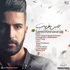 دانلود آهنگ جدید سعید کشاورز به نام حس غریب