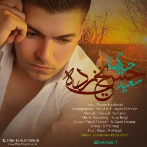 دانلود آهنگ جدید سعید حیدری به نام حس یخ زده