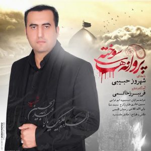 دانلود آلبوم جدید شهروز حبیبی به نام پروانه های سوخته