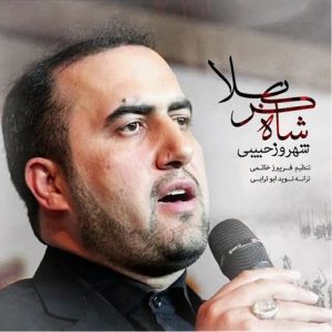 دانلود آهنگ جدید شهروز حبیبی به نام شاه کربلا
