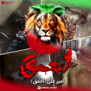 دانلود آهنگ جدید امیرعلی به نام احمق