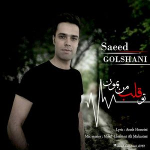 دانلود آهنگ جدید سعید گلشنی به نام تو قلب من بمون