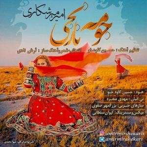 دانلود آهنگ جدید امیر میرشکاری به نام جومه نارنجی