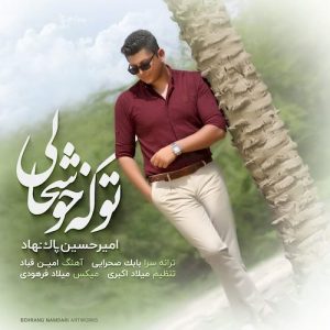دانلود آهنگ جدید امیرحسین پاک نهاد به نام تو که خوشحالی