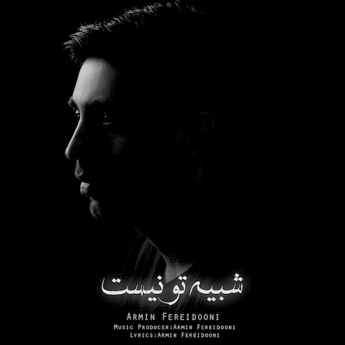 دانلود آهنگ جدید ارمین فریدونی به نام شبیه تو نیست دانلود آهنگ جدید ارمین فریدونی به نام شبیه تو نیست