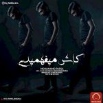 دانلود آهنگ جدید محمد پارسا به نام کاش میفهمیدی