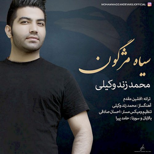 دانلود آهنگ جدید محمد زندوکیلی به نام سیاه مژگون دانلود آهنگ جدید محمد زندوکیلی به نام سیاه مژگون
