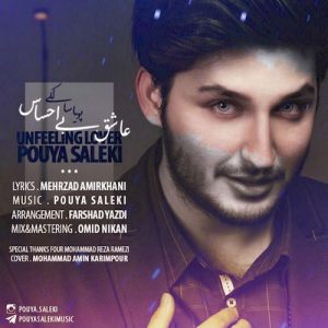 دانلود آهنگ جدید پویا سالکی به نام عاشق بی احساس