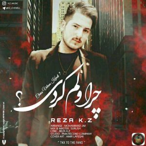 دانلود آهنگ جدید رضا کی زد به نام چرا ولم کردی
