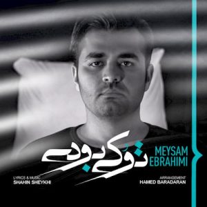 دانلود آهنگ جدید میثم ابراهیمی به نام تو کی بودی