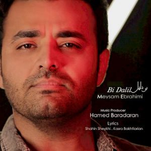 دانلود آهنگ جدید میثم ابرهیمی به نام بی دلیل
