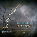 دانلود آهنگ جدید فریبرز سلیمی به نام گفتم غم تو دارم