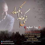 دانلود آهنگ جدید فریبرز سلیمی به نام نمیگم خدانگهدار
