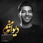 دانلود آهنگ جدید محمد زندوکیلی به نام دیوانه منم
