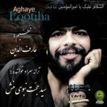 دانلود آهنگ جدید سید حجت نبوی منش (کاوه) به نام آقای لوتی ها