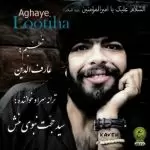 دانلود آهنگ جدید سید حجت نبوی منش (کاوه) به نام آقای لوتی ها