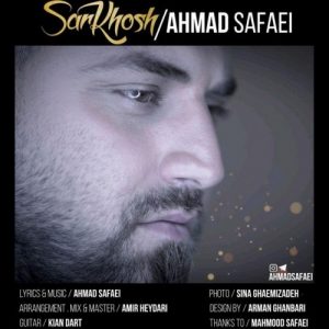 دانلود آهنگ جدید احمد صفایی به نام سرخوش