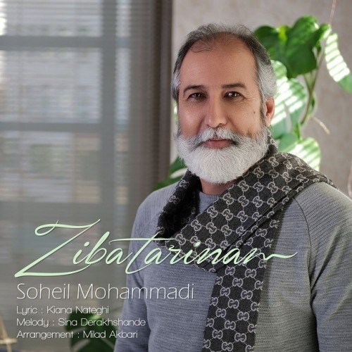 دانلود آهنگ جدید سهیل محمدی به نام زیباترینم دانلود آهنگ جدید سهیل محمدی به نام زیباترینم