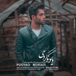 دانلود آهنگ جدید پویاد مرادی به نام دیوونگی کردی