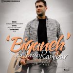دانلود آهنگ جدید محمد رنجبر به نام بیگانه